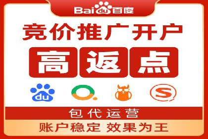 百度竞价赚钱的实战案例分析